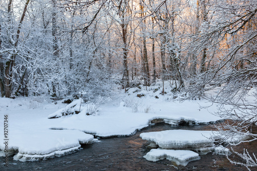 Morning light on the river in the woods in winter