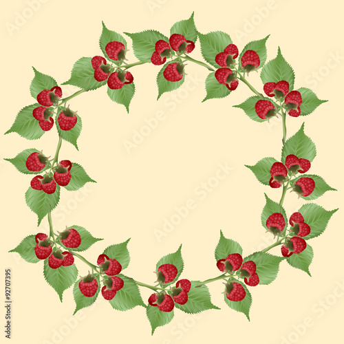 frame of raspberries with green leaves