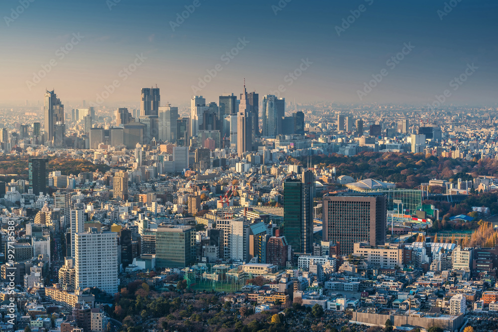 Skyline of Tokyo Cityscape at Sunset, Japan