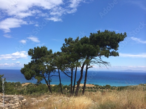 Сосны на фоне моря, Греция, Родос