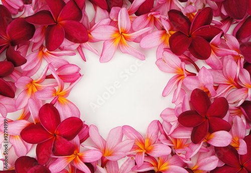 Frangipani flower frame