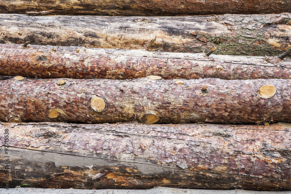 Pine logs. Background for websites and printing. Pine logs. Background for websites and printing.