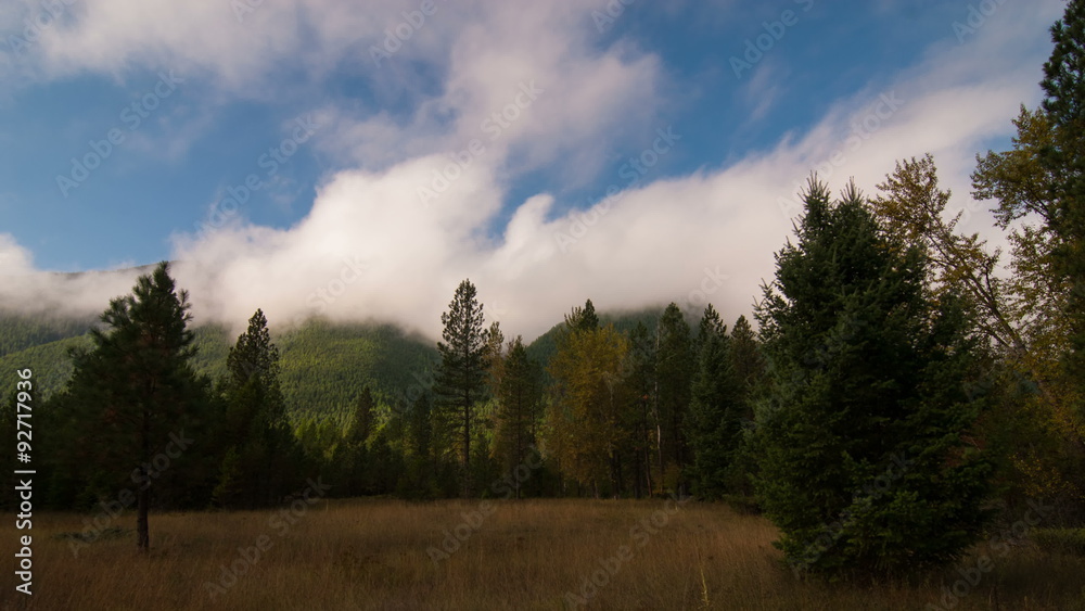 Time Lapse 2015: Time lapse clouds billow over a forest. Time Lapse 2015: Time lapse clouds billow over a forest.