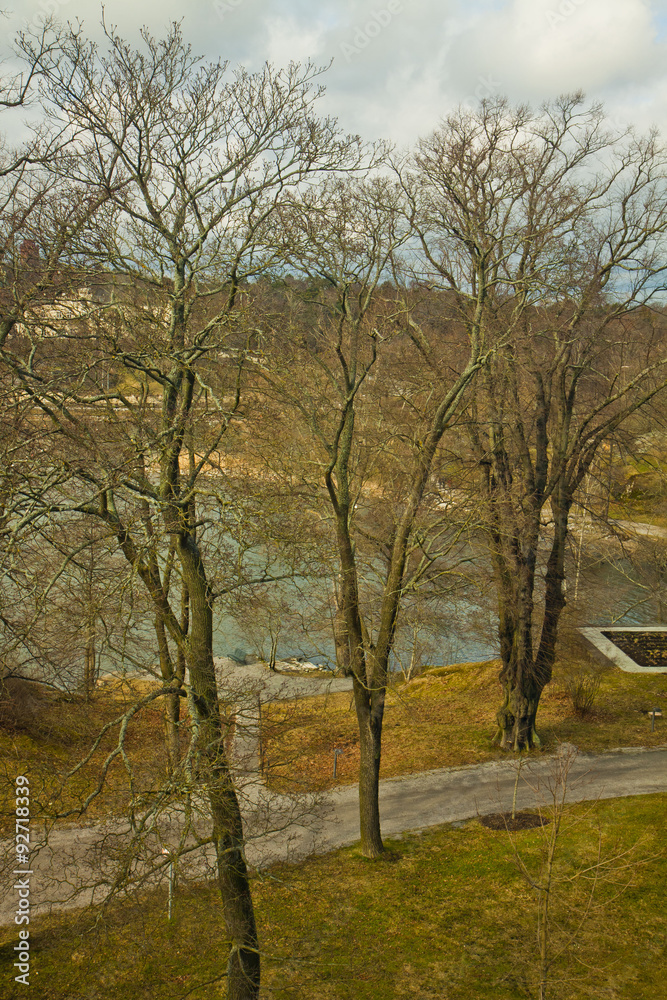 Sweden, panoramic view of trail among oak trees along sea border on winter Sweden, panoramic view of trail among oak trees along sea border on winter