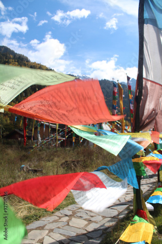 Sichuan Tibet Flags