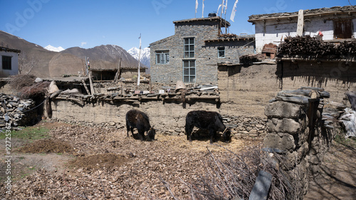 Nepal village photo