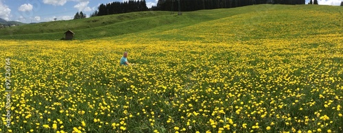 Tableau sur toile Yellow flower, Asiago Plateau