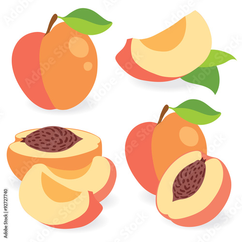 Peaches vector illustration