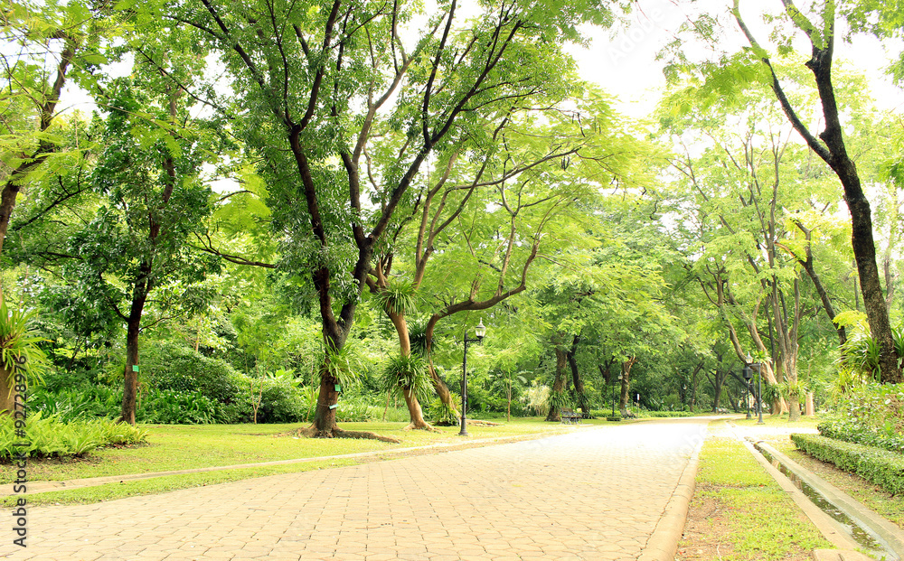 Fototapeta premium Stone Pathway in the Green Park