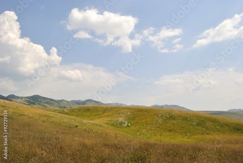 Alpine meadows of Durmitor national park, Montenegro.