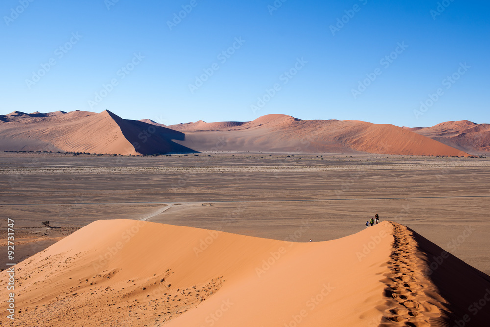 Dune rosse nel deserto della Namibia