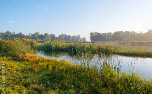 Shore of a lake at sunrise in autumn