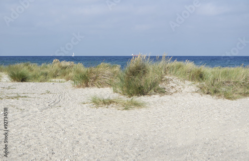 sand dunes in autumn