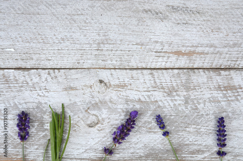 Purple blue Lavender flowers on a old white wooden shelves background with empty copy space