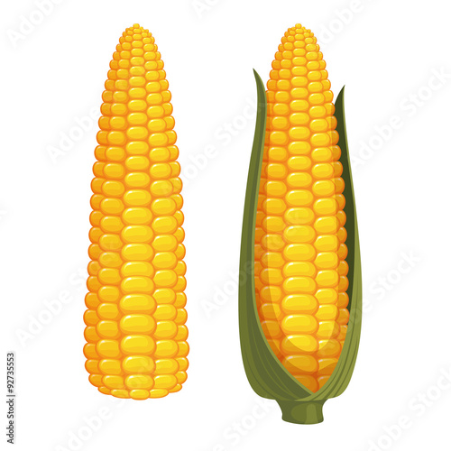 Corn