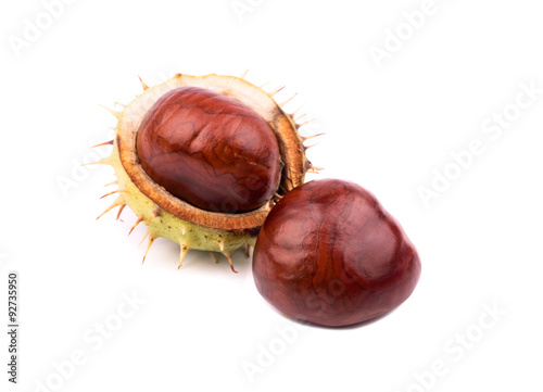 A pair of chestnuts with shells on a white background photo