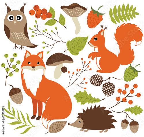 Woodland Animals Set
