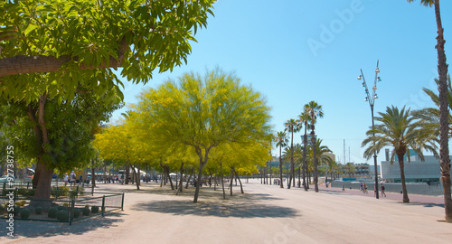 Promenade in Barcelona, clear blue sky and green trees, summer outdoors