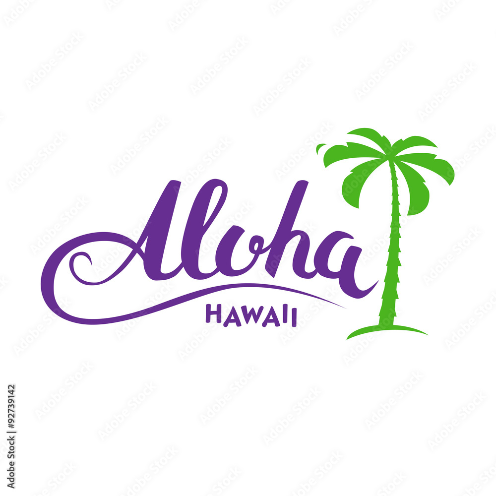 Hawaii summer graphic t-shirt design tropical Vector Image