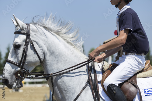 Close up of the horse during competition matches riding round ob © ververidis