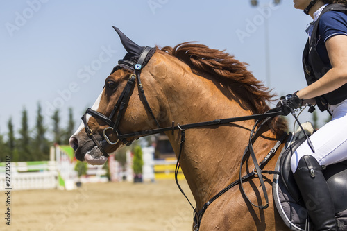 Close up of the horse during competition matches riding round ob © ververidis