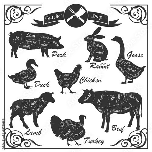 Set of animal cuts for butcher's shop. Animal silhouettes isolated on a white background, beef cow, turkey, goose, pork, sheep, duck, rabbit, lamb, chicken. Vector illustration