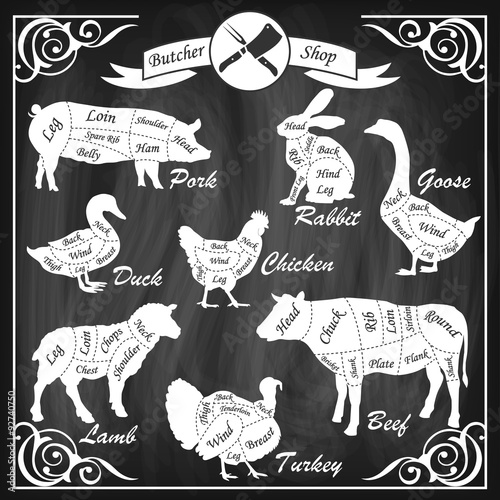 Set of animal cuts for butcher's shop. Animal silhouettes isolated on a chalkboard background, beef cow, turkey, goose, pork, sheep, duck, rabbit, lamb, chicken. Vector illustration