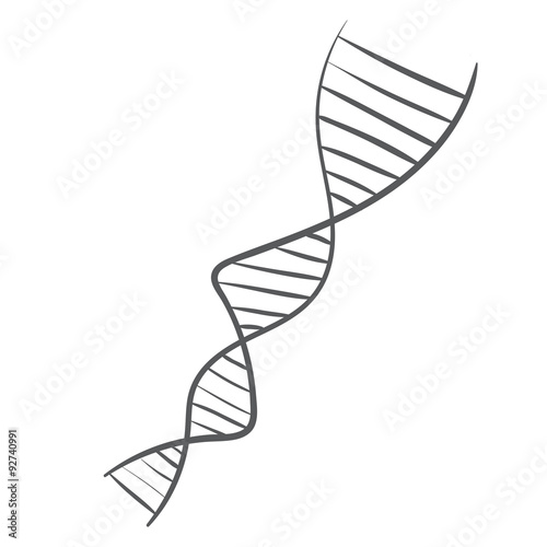 DNA spiral