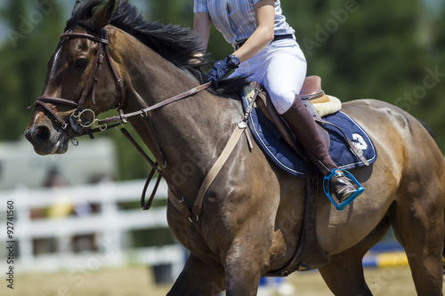 Unknown rider on a horse during competition matches riding round photo