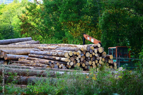 Sägewerk in Eichstätt