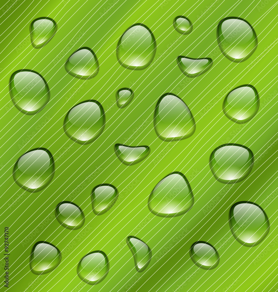 Water Drops on Fresh Green Texture of Leaf