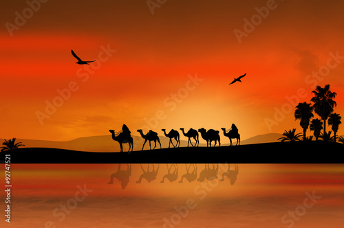 Camel caravan © Balint Radu