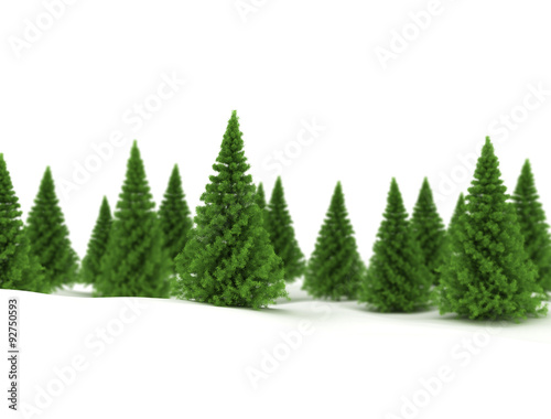 Winter design background - pine trees