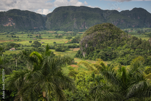 Panoramic view over landscape with mogotes in Cuba