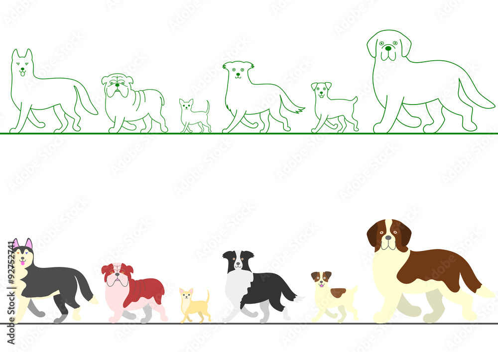 set of various dogs walking in line set of various dogs walking in line