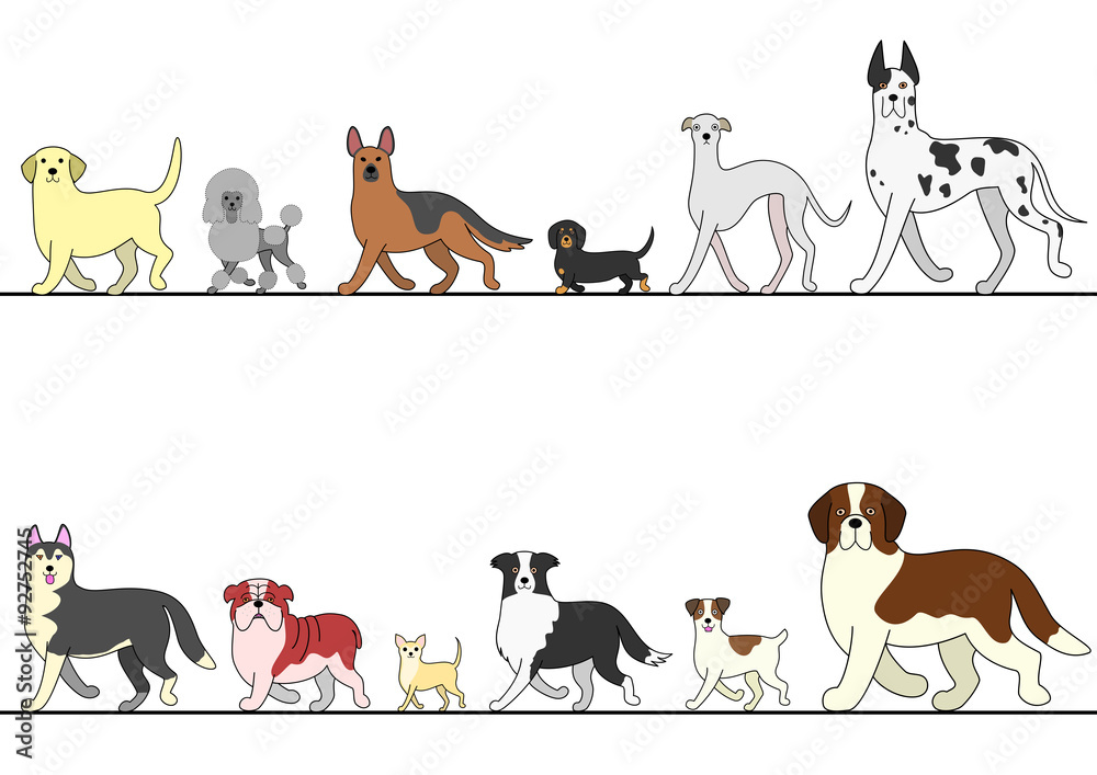 set of various dogs walking in line set of various dogs walking in line