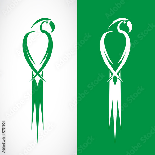 Vector image of an parrot design on white background and green b
