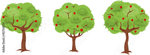 Apple Trees
