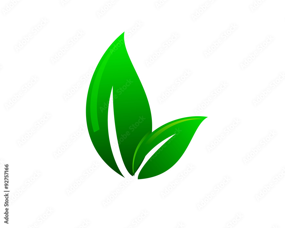 Green leaves Fres v4 Green leaves Fres v4
