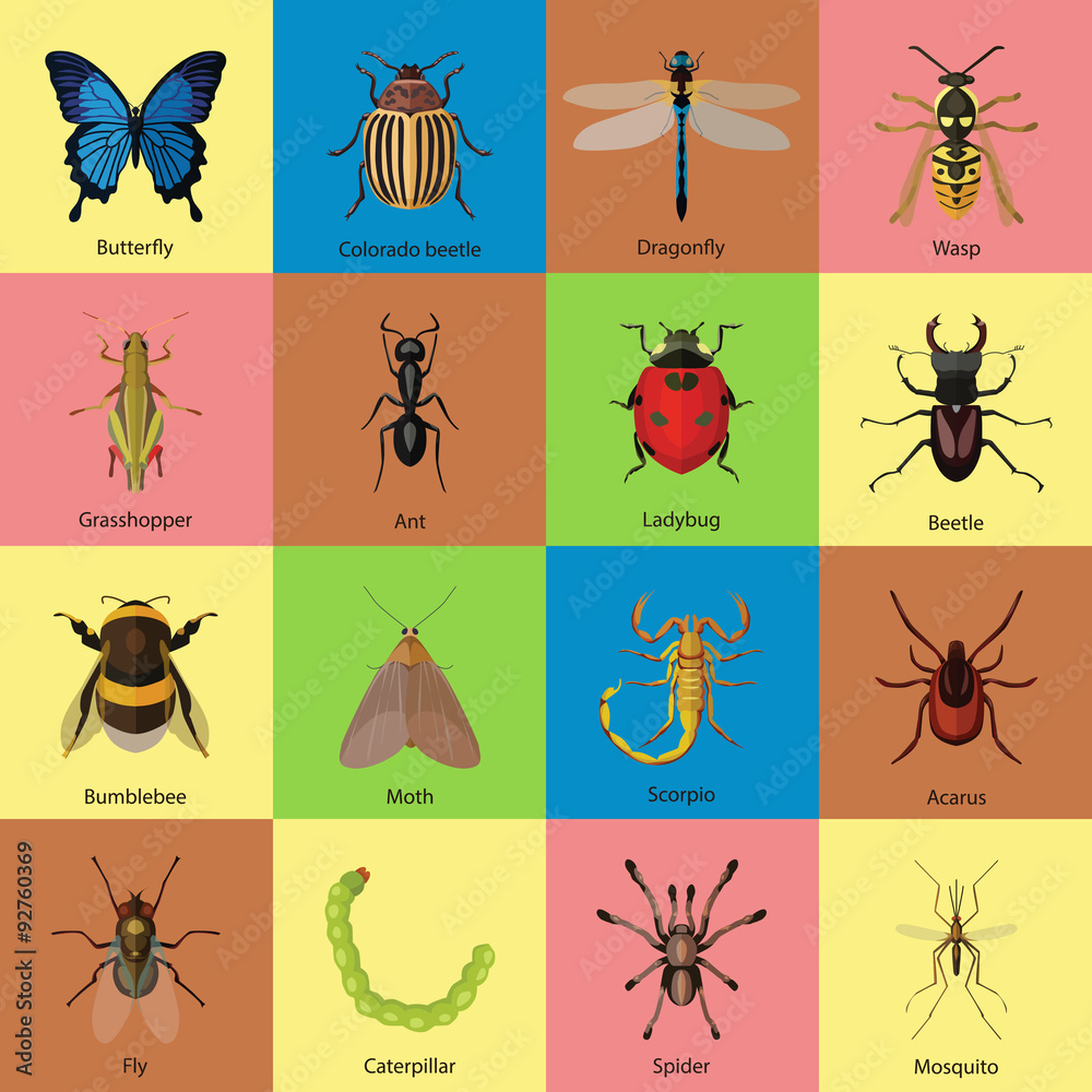 Set of insects flat style design icons. Butterfly, Colorado Set of insects flat style design icons. Butterfly, Colorado