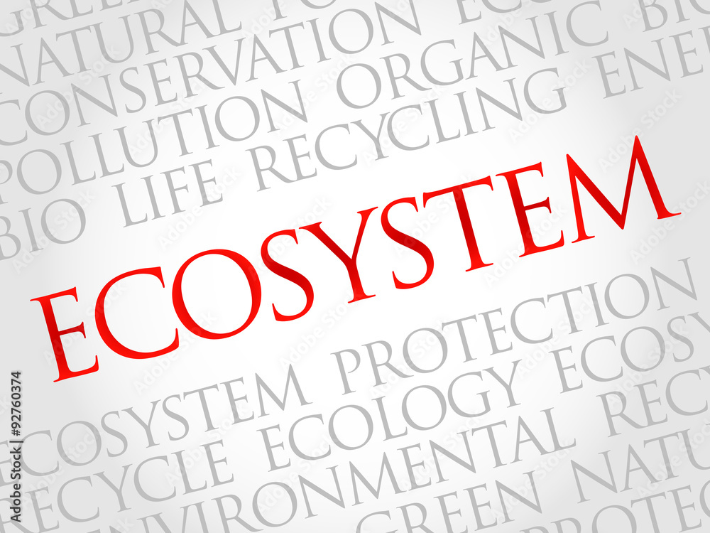 Ecosystem word cloud, environmental concept Ecosystem word cloud, environmental concept