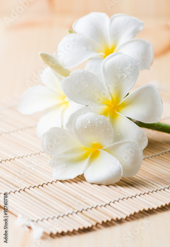 white Plumeria on wood bamboo mat.