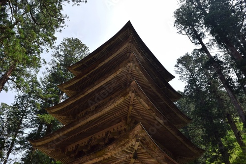 国宝 羽黒山五重塔／山形県鶴岡市羽黒町にある、国宝「羽黒山五重塔」を撮影した写真です。羽黒山五重塔は、羽黒山参道「一の坂」上り口の杉並木の中にあります。東北地方では最古の塔といわれ、平将門の創建と伝えられています。現在の塔は、約600年前に再建されたものといわれ、高さが29.0mの三間五層柿葺素木造で、昭和41年には国宝に指定されました。 photo