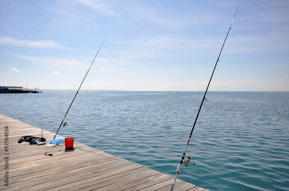 fishing rods in blue