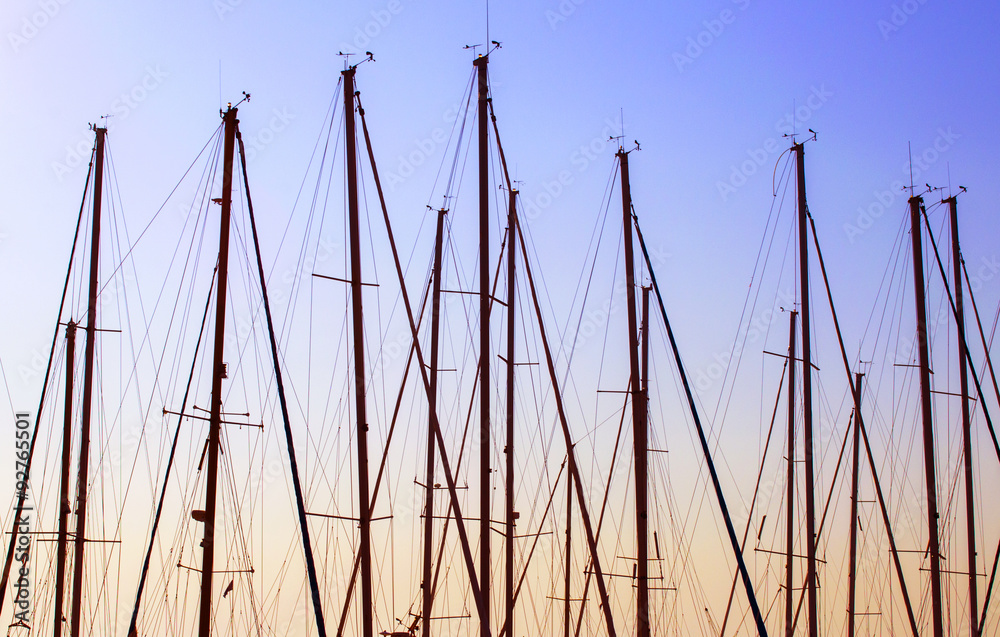 Obraz premium alberatura di navi