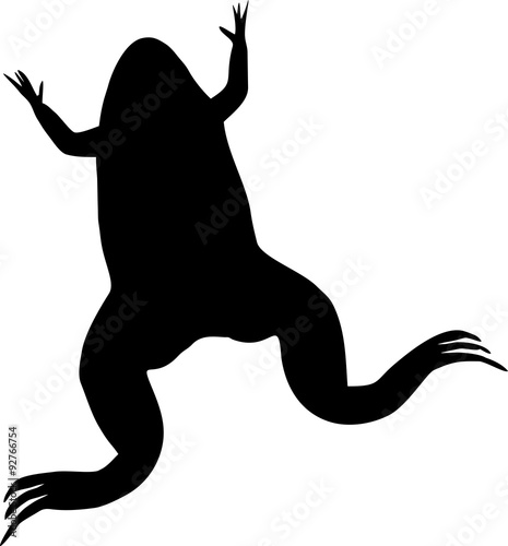 Silhouette of Xenopus laevis (African clawed frog)