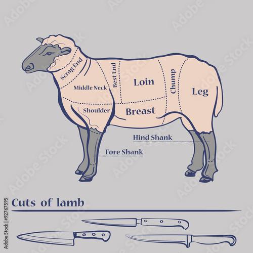 Vector Lamb Cuts Diagram