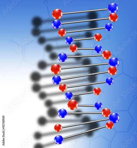 DNA molecule