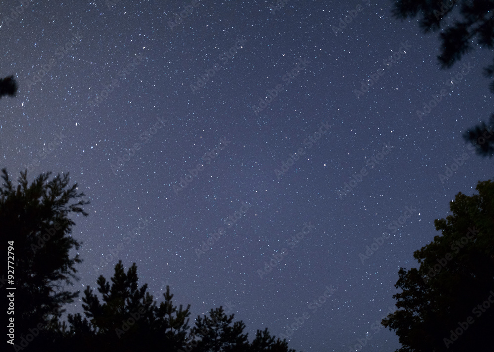 Naklejka premium Clear night sky full of stars framed by trees. Lithuania.