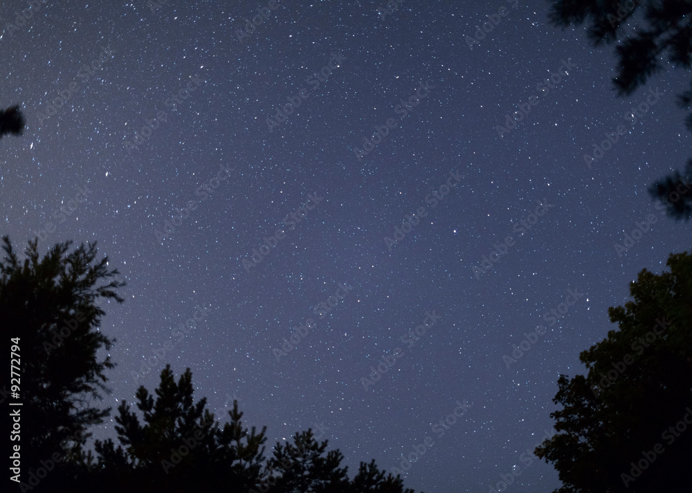 Clear night sky full of stars framed by trees. Lithuania.